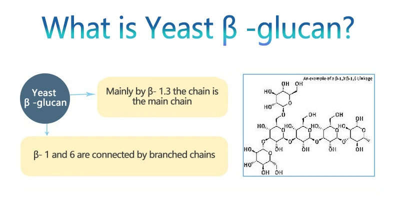 Beta Glucan CAS 9012-72-0 Cosmetic Skin Care New Resource Food 70/80/90 Beta Glucan